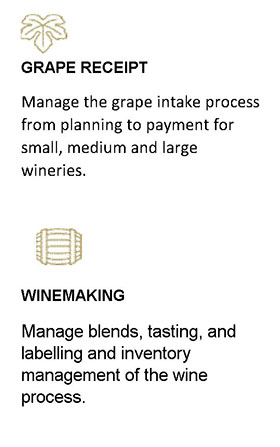 wineprocess